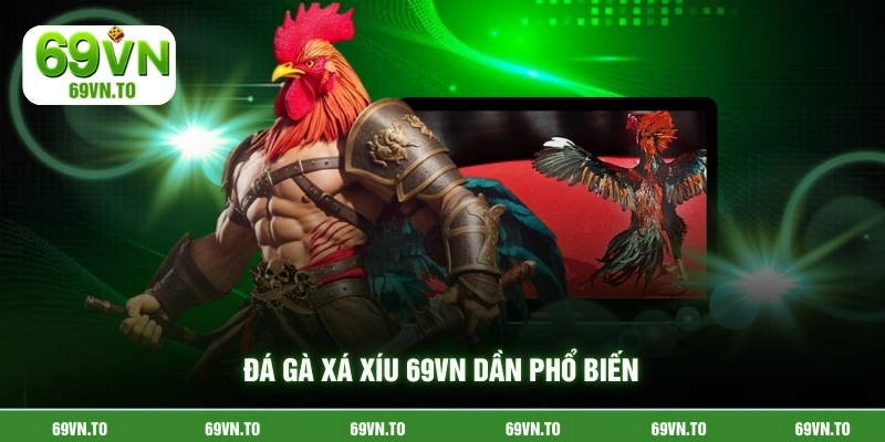 Đá gà xá xíu 69VN dần phổ biến