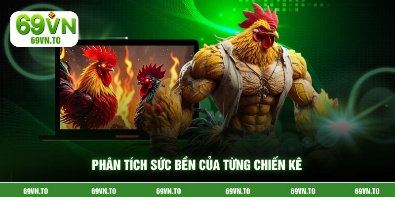 Phân tích sức bền của từng chiến kê
