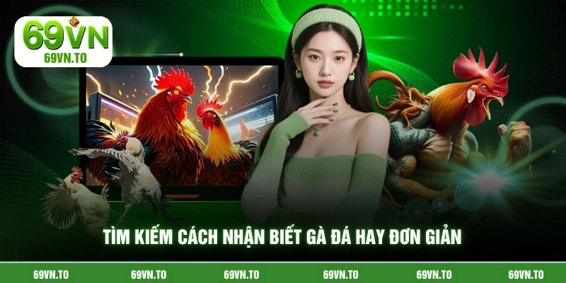 Tìm kiếm cách nhận biết gà đá hay đơn giản